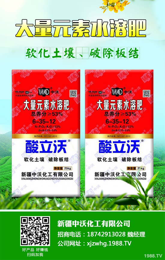 ��Ƥ�ɽ�(j��ng)��(j��)Ч�������2020��Ƥ�ɵķNֲǰ������