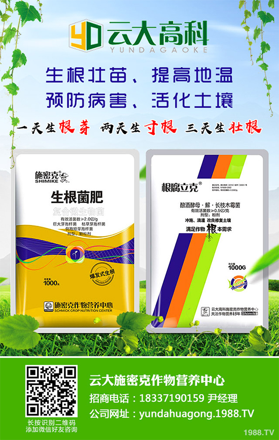 ��������ֲ��Ƥ�Ɇ�����Ƥ�ɶ�����ֲ����