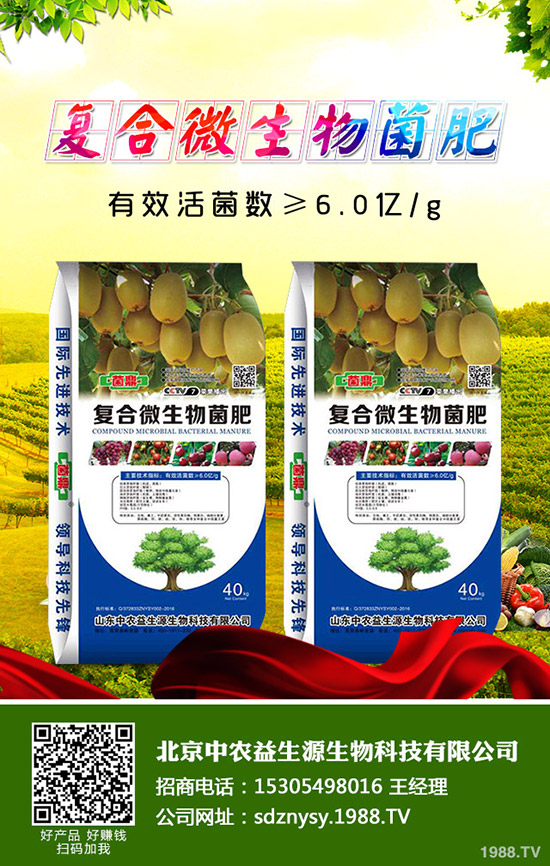 西蘭花什么時(shí)候種植,2020年西蘭花的種植前景如何?賺錢么?