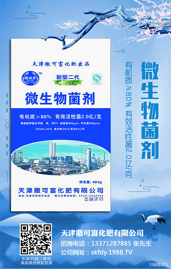 ��Ƥ�����Ժ���S��զ������ԓ��ô��Q�����������