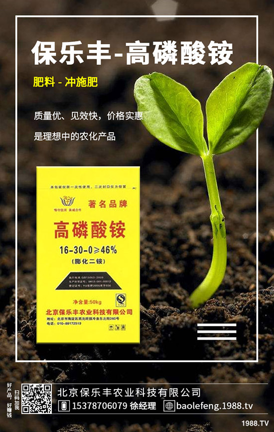 白菜白斑病危害、發(fā)病規(guī)律有哪些？白菜白斑病如何防控？