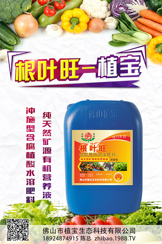 你知道草石蠶該怎么種嗎？草石蠶的種植技巧