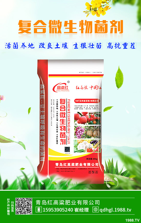 冬季辣椒怎樣育苗？受凍怎么辦？辣椒苗防凍解凍措施及移栽事項！