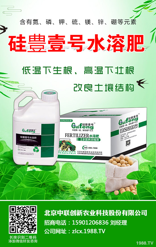 辣椒的種植要點有哪些，辣椒地膜覆蓋栽培技術(shù)！