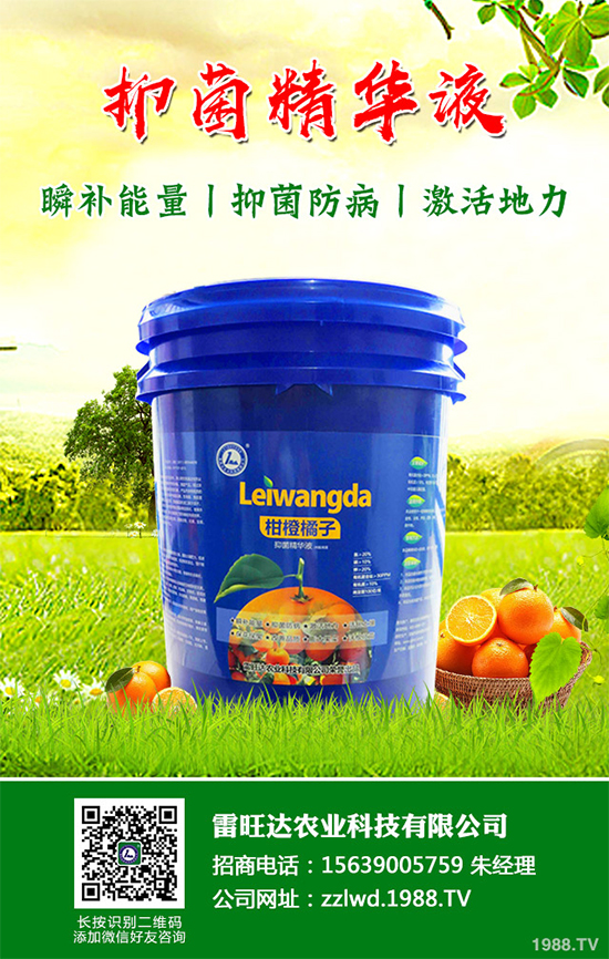 長期低溫寡照,蔬菜長勢差該如何解決?冬季大棚補(bǔ)光的幾項(xiàng)措施