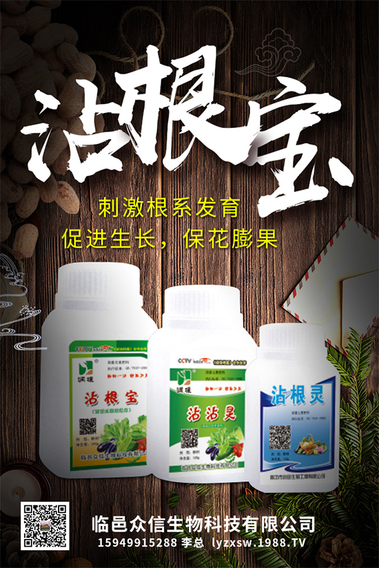 大棚種植黃瓜優(yōu)質(zhì)高產(chǎn)管理，肥料需要這樣施！
