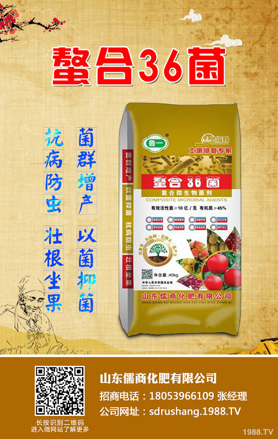     二銨市場(chǎng)行情低迷！2019年11月7日今日磷酸二銨價(jià)格早報(bào)