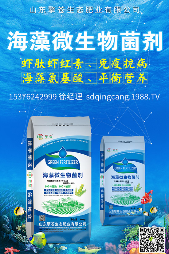     尿素價格跌出新價！2019年11月初尿素行情走勢分析及后市預(yù)測！