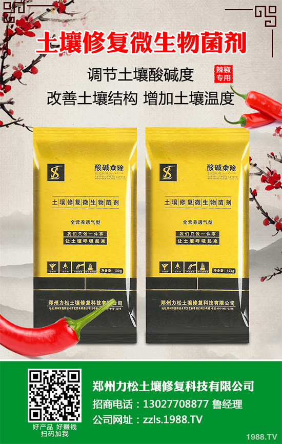 花椰菜軟腐病危害來(lái)襲,有沒有好的防治方法?快來(lái)看看吧!