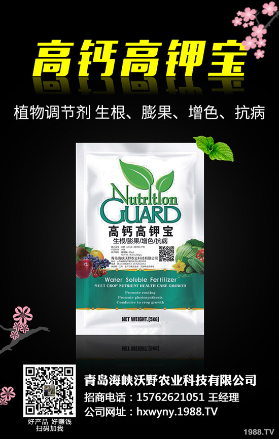 小麥田雜草什么時候防治更佳？小麥雜草解決方案！