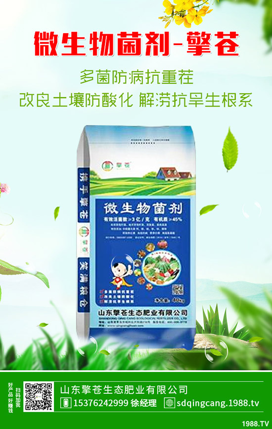     ӡ���ٴ��И�(bi��o)��2019��11��8�ս��ո��؅^(q��)�����������S��(b��o)�r(ji��)һ�[