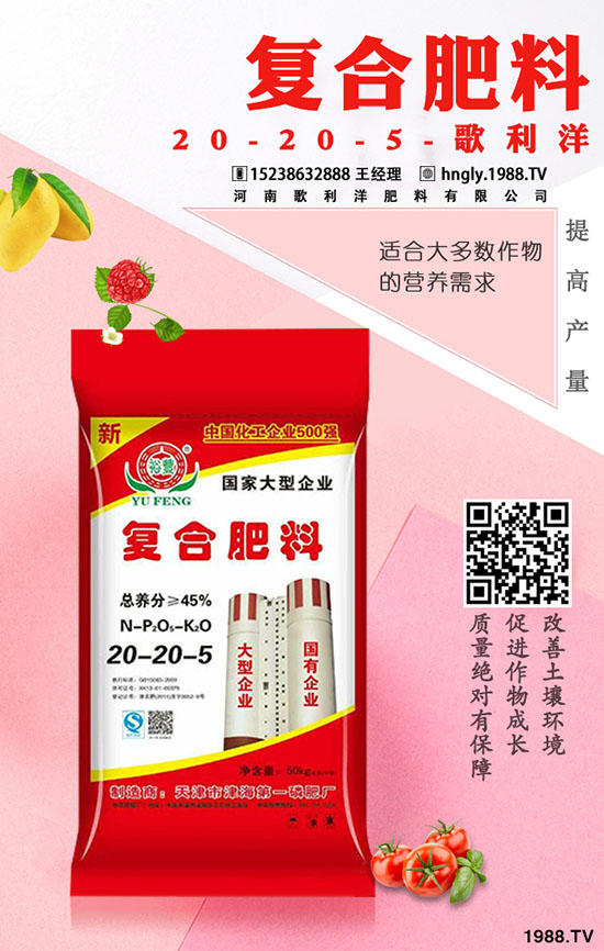     ������ټق����ġ����������ʷʁ��q�桱