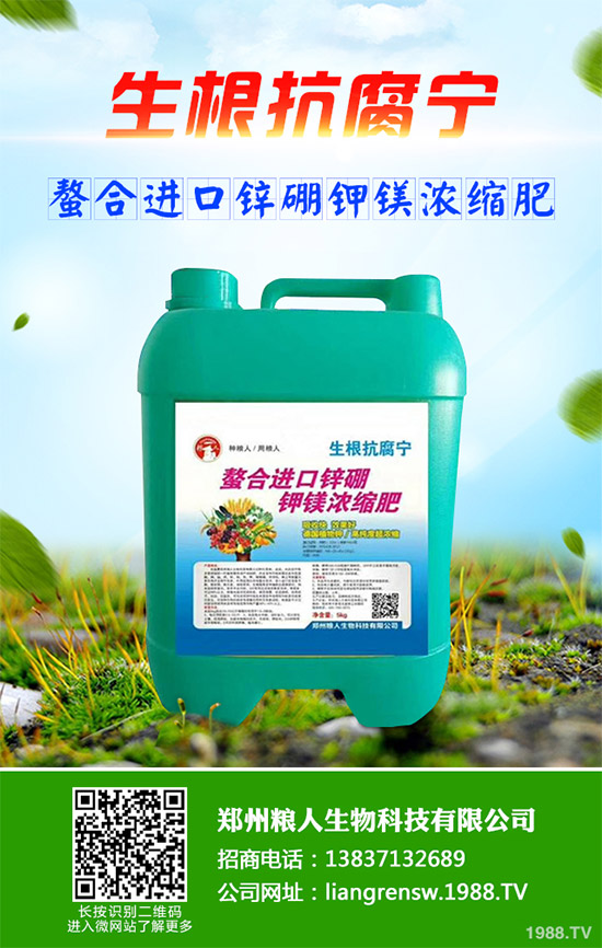 洋薊有哪些營養(yǎng)價值?洋薊的營養(yǎng)價值及功效作用