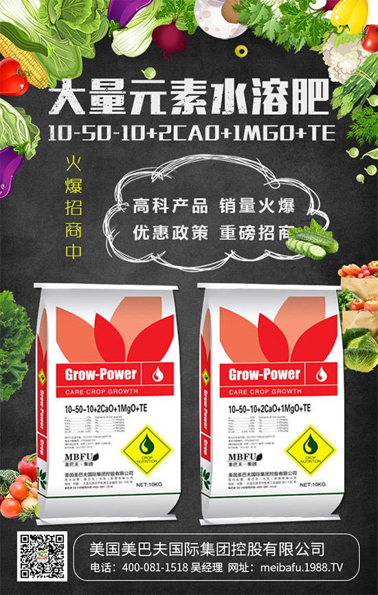 2020年種植什么蔬菜掙錢嗎？2020年種植什么蔬菜前景好？