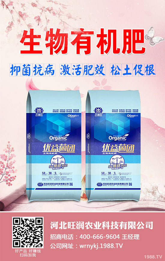 大棚韭菜該怎么種?冬季大棚韭菜種植技術(shù)要點(diǎn)