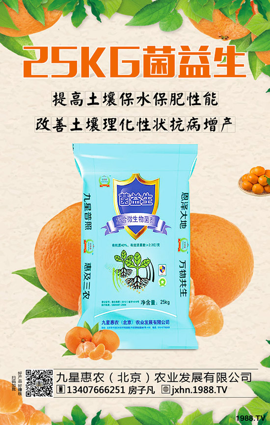 李子樹(shù)怎么種植?李子樹(shù)管理技術(shù)!