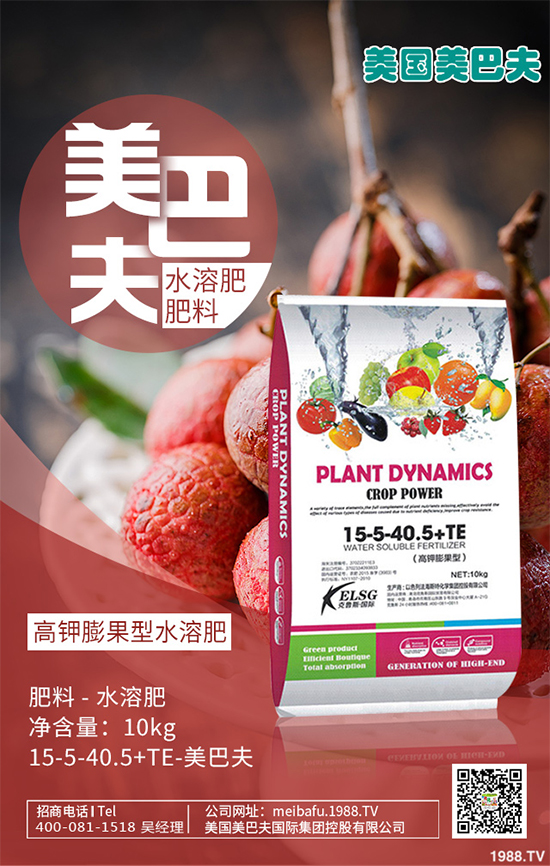 芽苗菜種植前景如何？芽苗菜的種植方法！