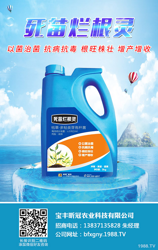 楊梅施肥時(shí)間是什么時(shí)候，楊梅施肥方法有哪些？