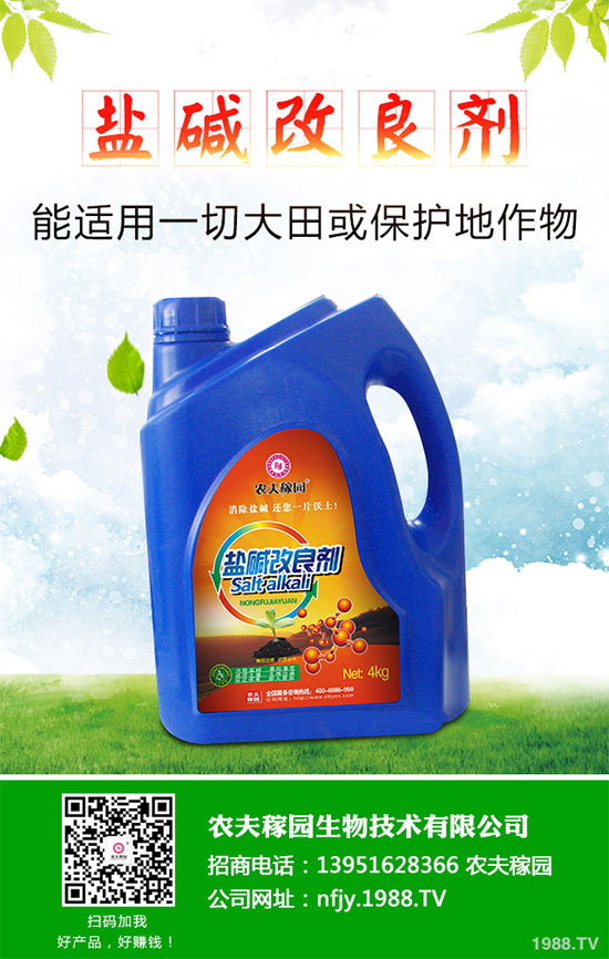 什么是蔓荊子？蔓荊子的功效作用及用法禁忌