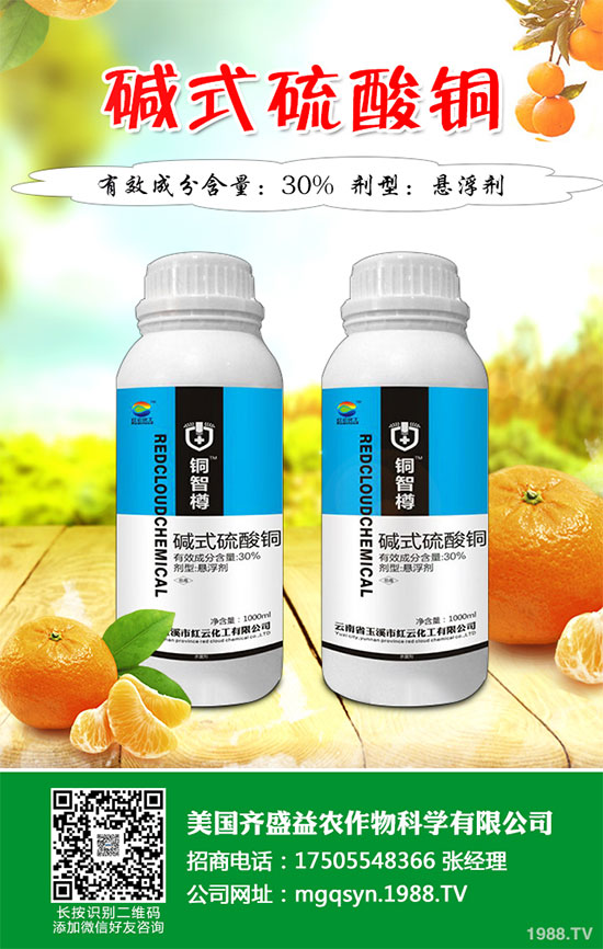 辛菌胺醋酸鹽