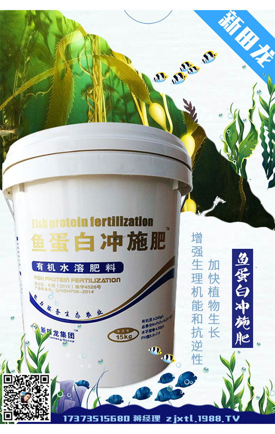 2020年龍膽草種植前景，龍膽草的繁殖技術(shù)！