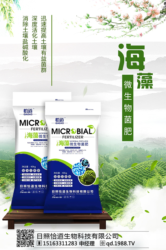 龍膽草的分布地區(qū),龍膽草的功效與作用!