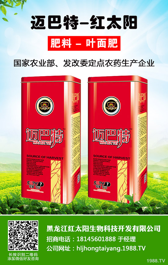 韭菜為什么不分蘗？什么因素影響了韭菜分蘗？