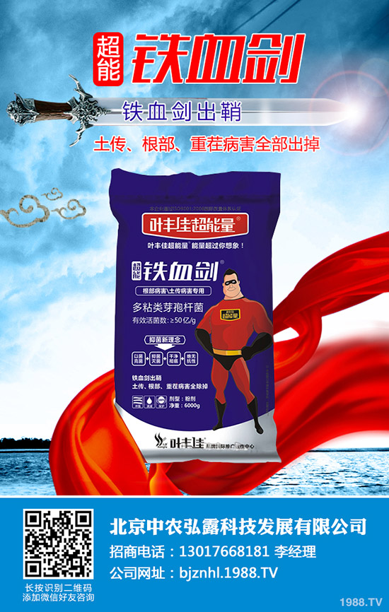2019年12月17日國內各地區(qū)鉀肥出廠報價一覽