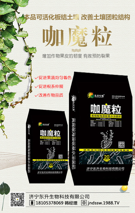 黑玉米價格多少錢一斤?2020年種植前景及效益分析!