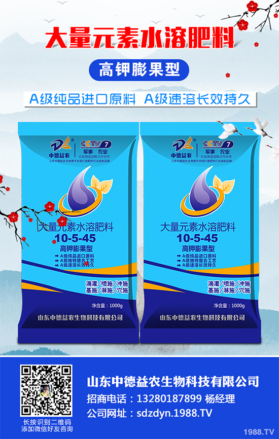 貢菊、杭白菊和胎菊有哪些不同之處？產(chǎn)地在哪？快來看看吧！