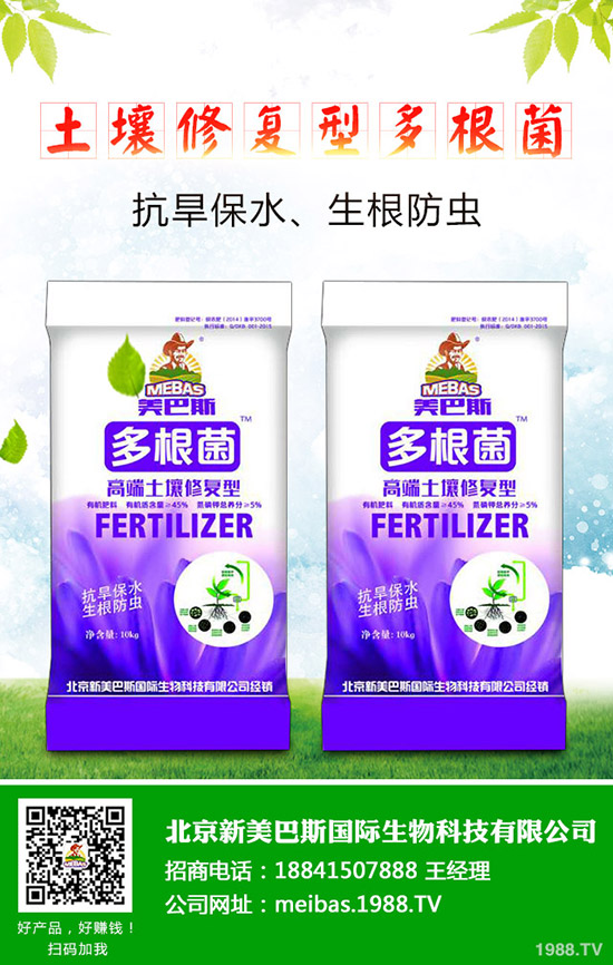 洋蔥的需肥特點有哪些？洋蔥的施肥技術(shù)是什么！