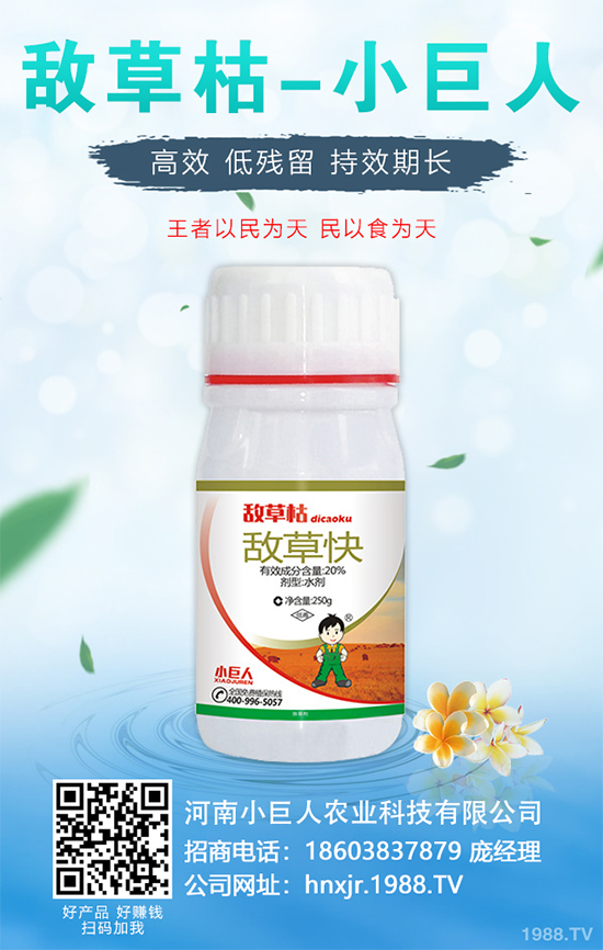 無花果種植行情怎么樣？如果能實現(xiàn)種植高產(chǎn)？