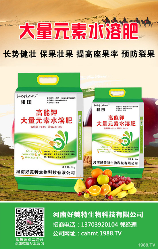 吃蘑菇有什么好處？蘑菇的營(yíng)養(yǎng)價(jià)值及功效作用