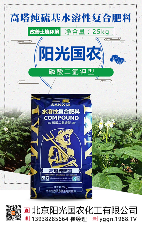 ���w�������@�ӵ���