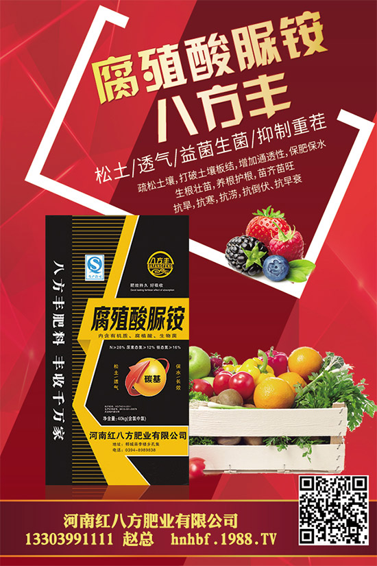 大棚蘑菇該如何種植？大棚蘑菇的種植管理技術(shù)