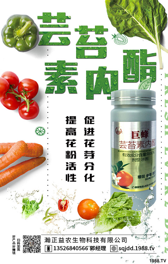 大棚蔬菜采光率低危害，如何提高大棚蔬菜采光率？