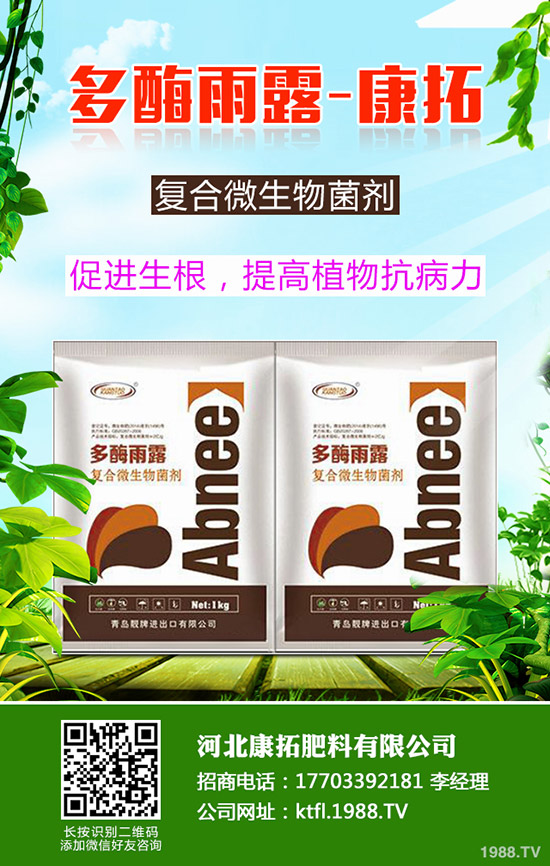 尿素每噸多少錢(qián)？2019-12-20今日各地尿素價(jià)格走勢(shì)分析