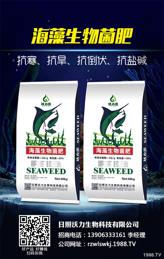 荊芥什么時(shí)候種植？荊芥種植時(shí)間及種植方法