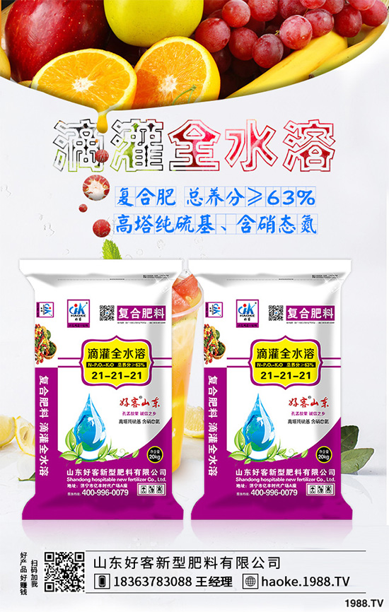 荊芥常見病害有哪些？該如何防治？荊芥常見病害的發(fā)生與防治技巧