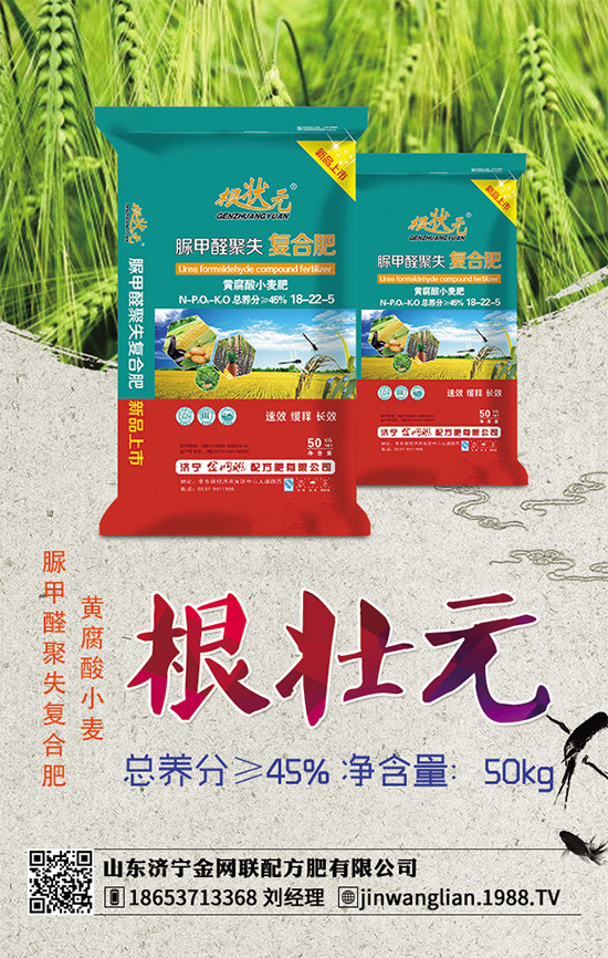 荊芥常見病害有哪些？該如何防治？荊芥常見病害的發(fā)生與防治技巧