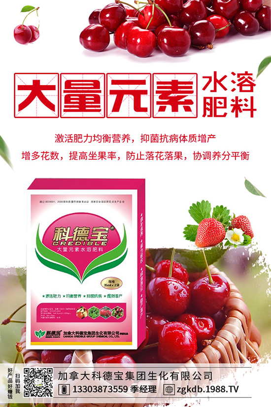 2019-12-21尿素價格行情動態(tài)，多少錢一噸？