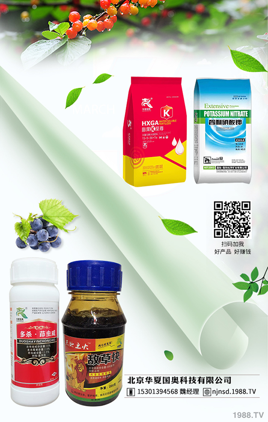 �R���Ͻ���x�麦�Y�� �R���Ͻ���x���η���