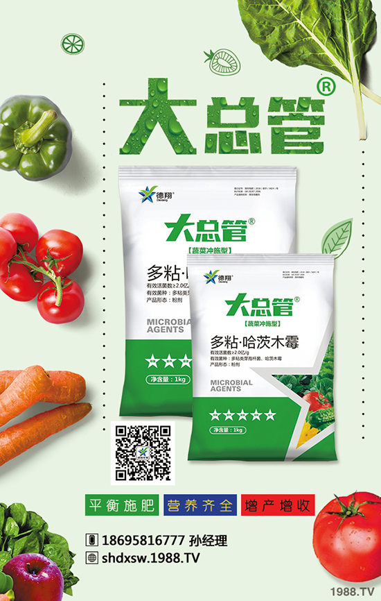 2020年蒜苗種植賺錢嗎？成本多少錢？效益怎么樣？前景如何？