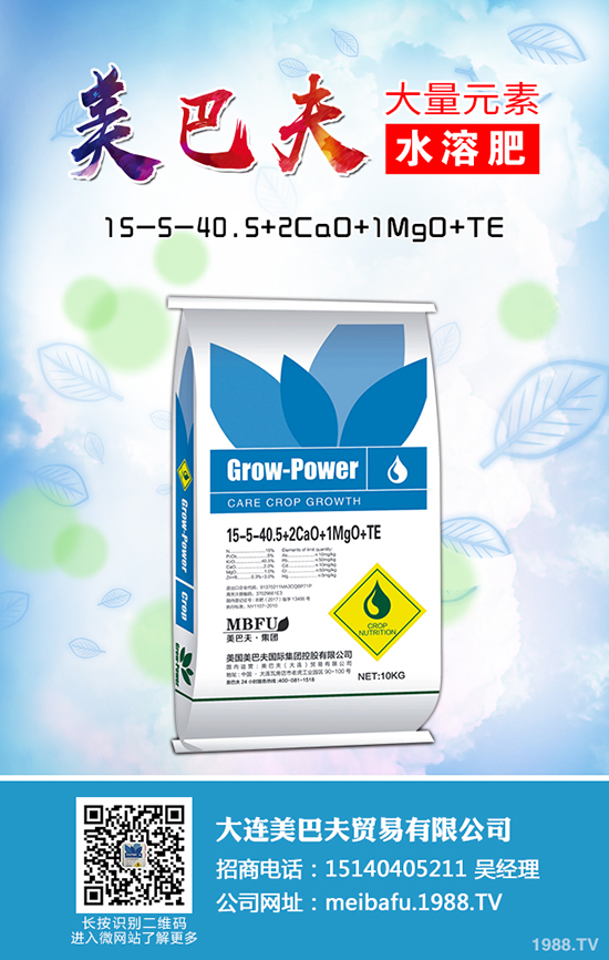 2020種植蒲公英賺錢嗎，蒲公英的種植前景和利潤怎么樣？