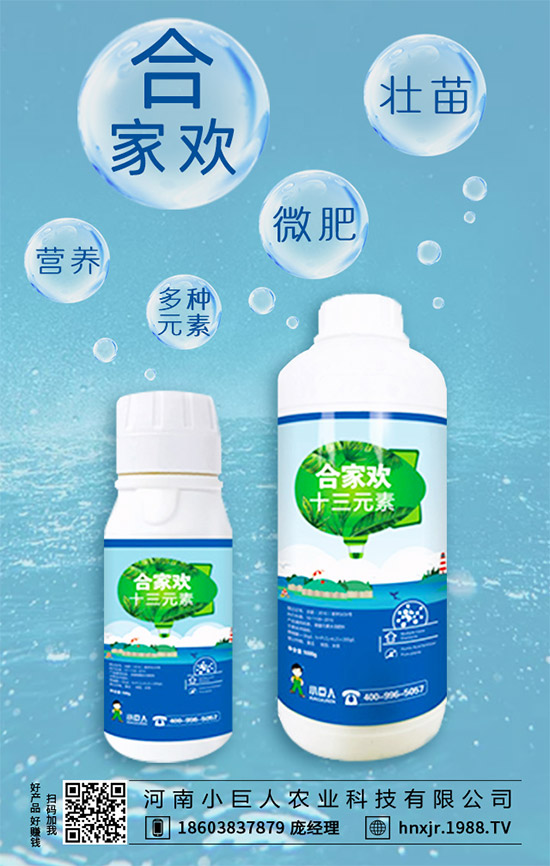 茶樹(shù)菇有哪些營(yíng)養(yǎng)價(jià)值？茶樹(shù)菇的功效與作用！