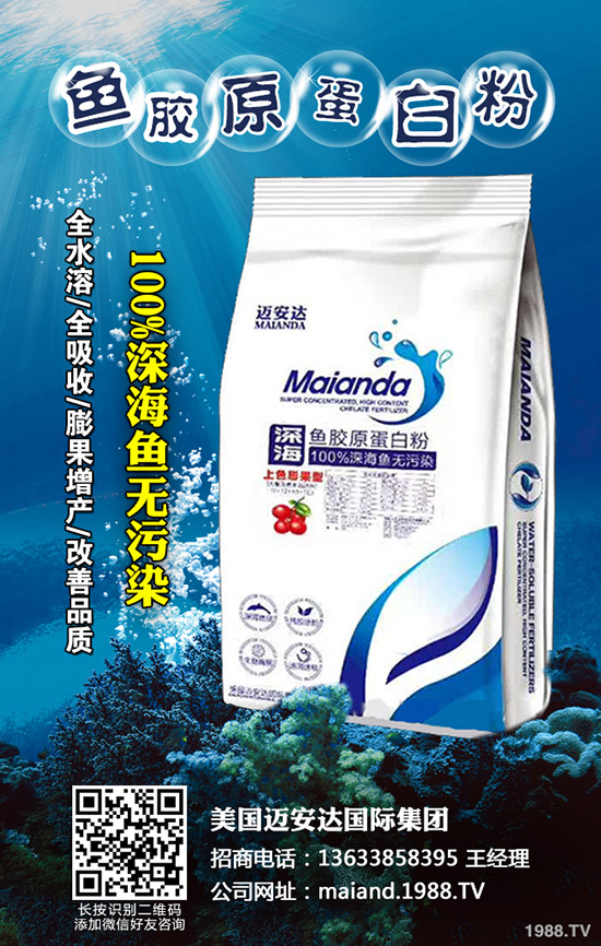 草莓旺長是什么原因，草莓控旺的方法有哪些？