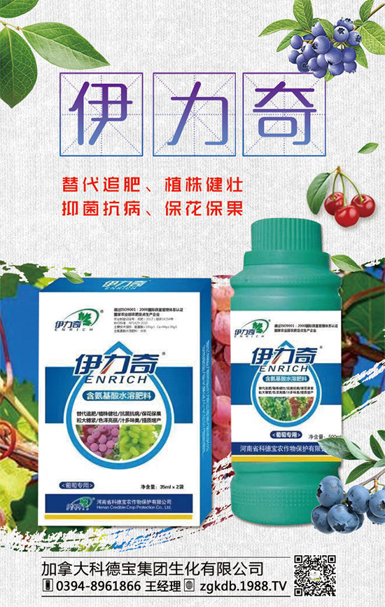     臨近年關(guān)！二銨行情是否上浮！2020年二銨價格行情走勢預(yù)測！