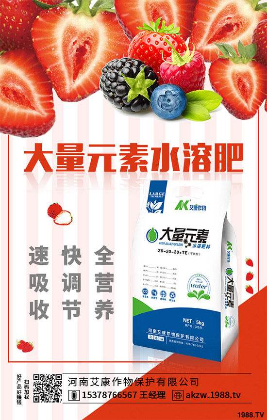 老虎姜該怎么種植？老虎姜高產(chǎn)種植技術(shù)管理