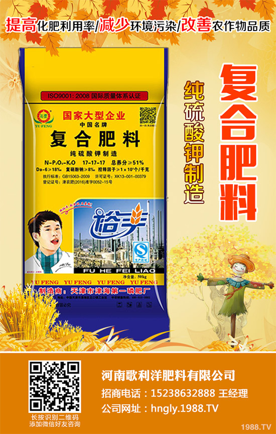 老虎姜該怎么種植？老虎姜高產(chǎn)種植技術(shù)管理