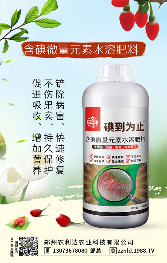 �t�}����ι��������S��������ƌW(xu��)�����҂�֪���᣿